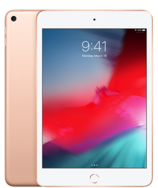iPad mini 5 Cases (2019)
